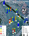 Total Compounds Exceeding Limits by Station & Depth.jpg (115234 bytes)