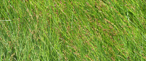 Image of the day for Wed Jun 25
