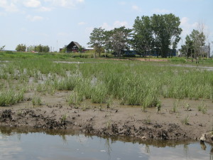 View west across Lower Kane Tract, from Bashes Creek