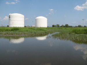 IMG_3288 Global mitigation site, from Moonachie Creek